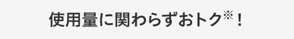 使用量に関わらずおトク※！